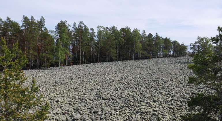 Hölicks naturreservat rymmer också vidsträckta klapperstensfält.