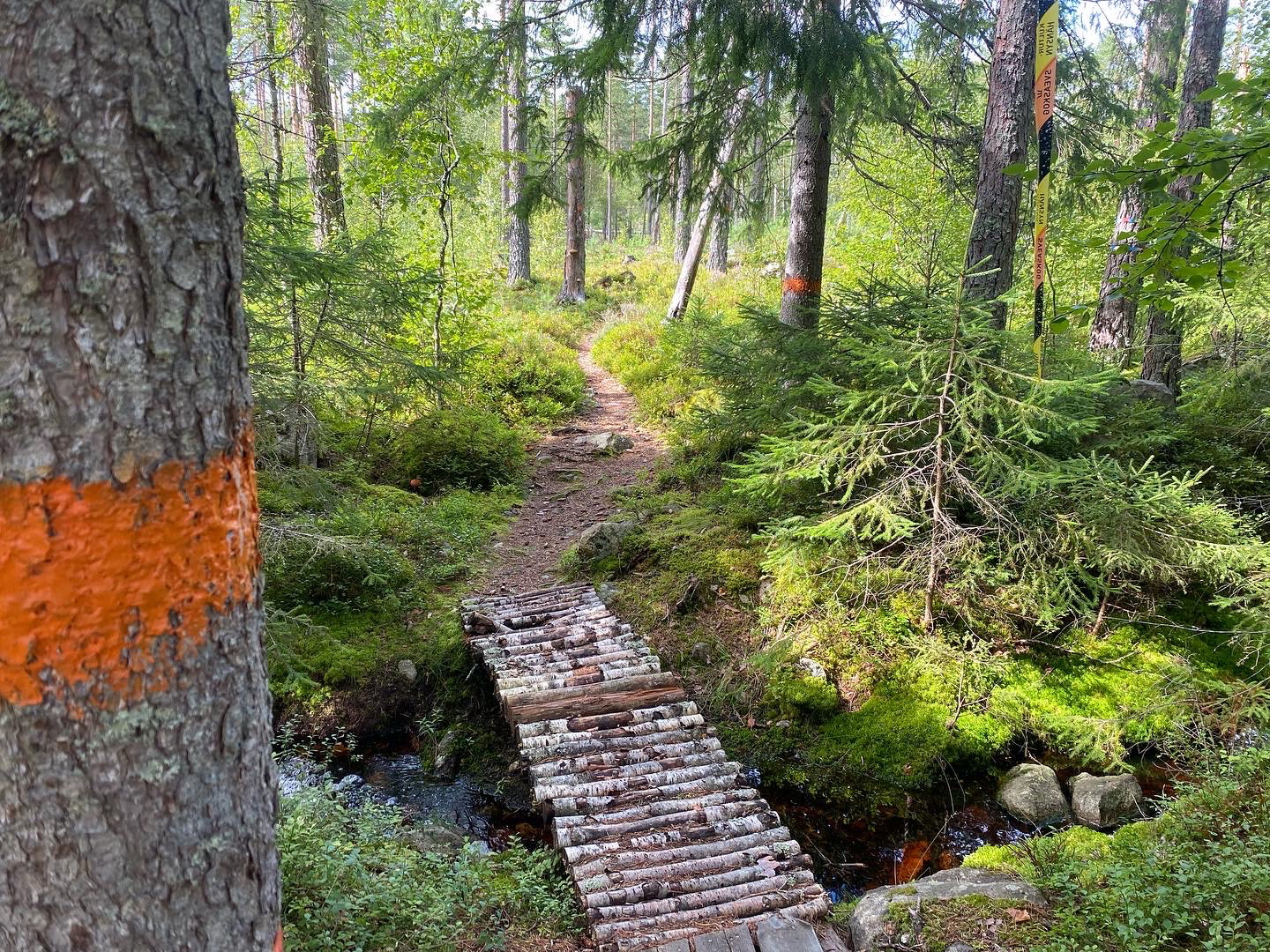Broar över vattendrag