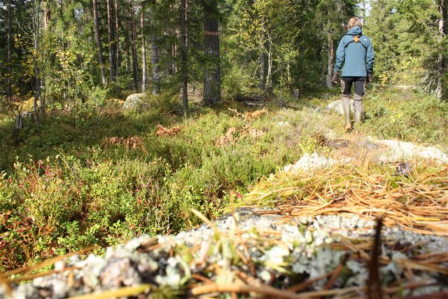 The Uppland Trail, section 10, 30 km