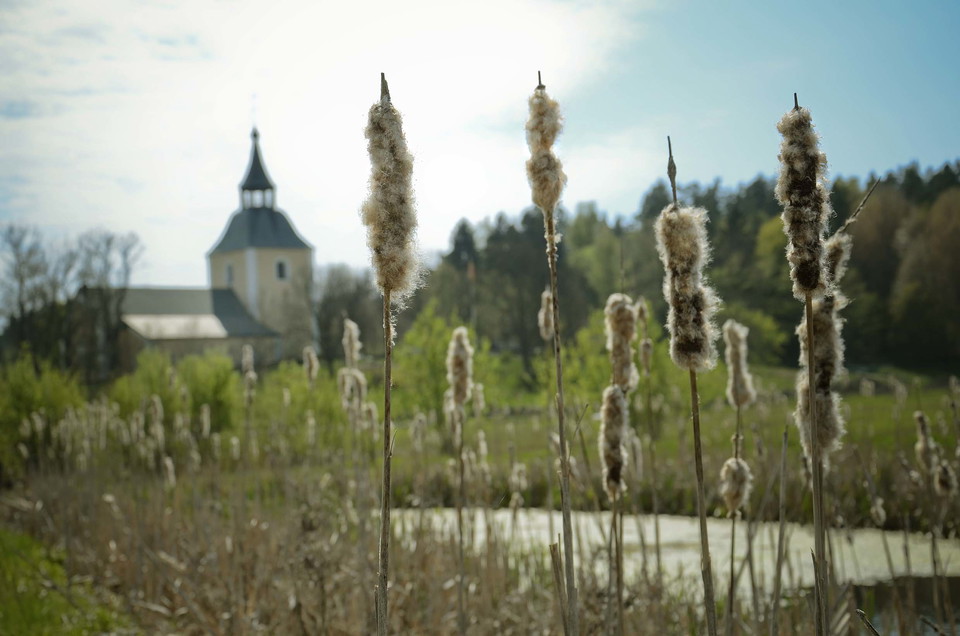 Vass vid en å med en kyrka i bakgrunden.