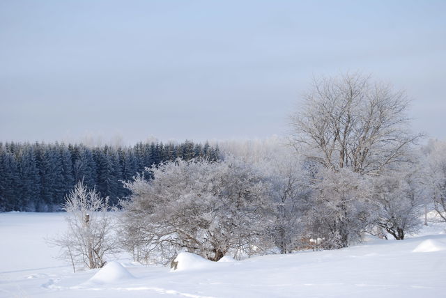 Latorpsängarna naturreservat