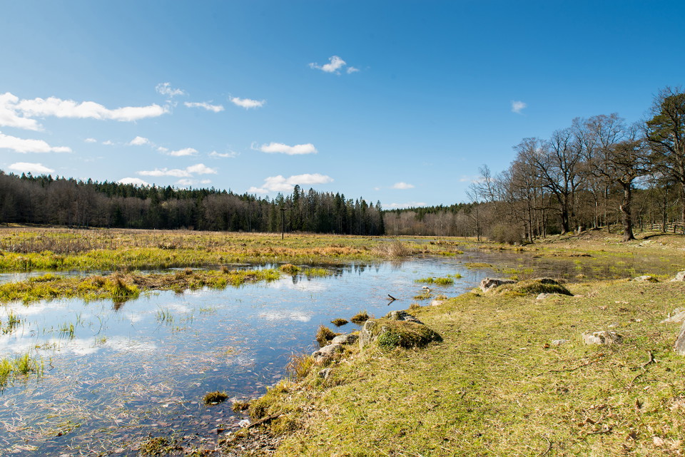 Väsby sjöäng.