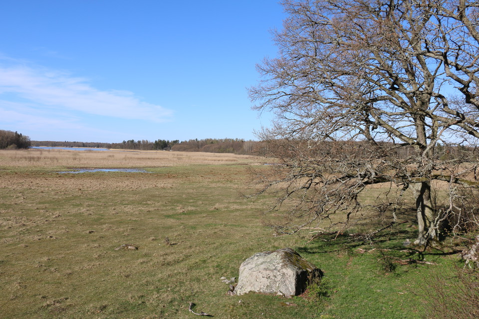Vy ut över strandängar.