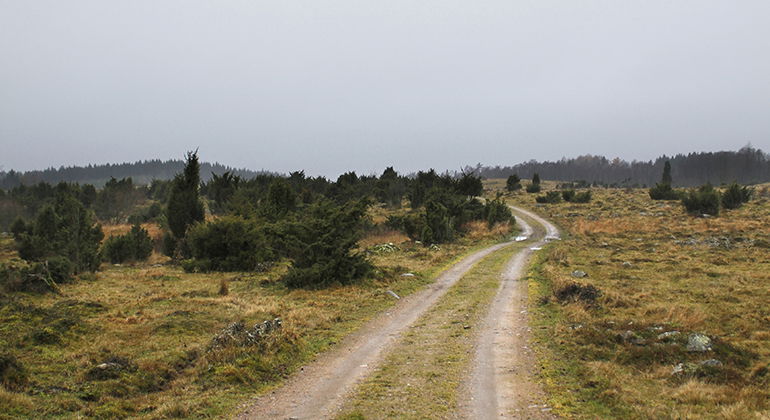 Heden.