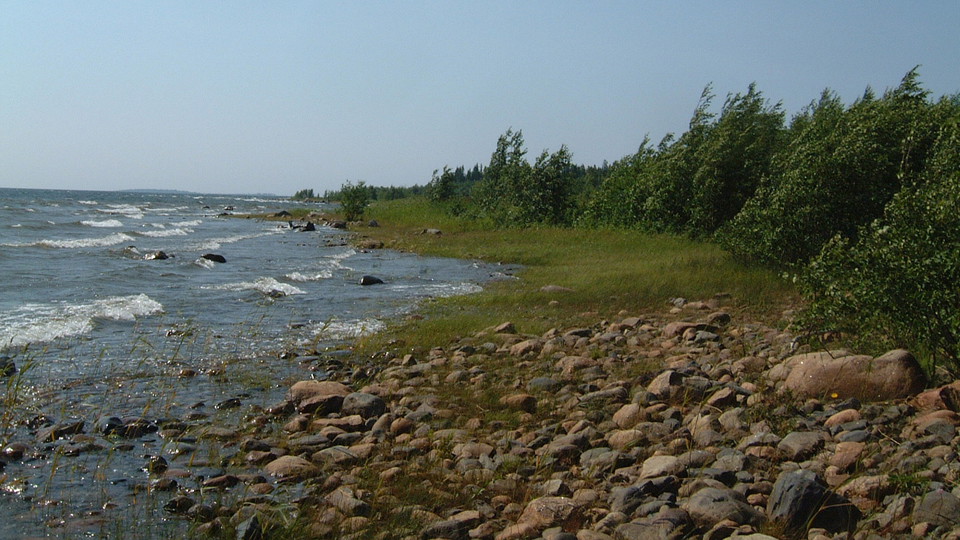 En stenig och gräsklädd strand vid havet.