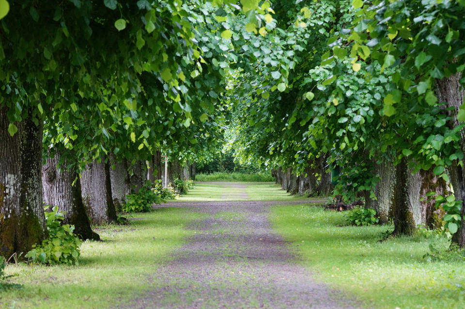 Foto Katharina Svensson