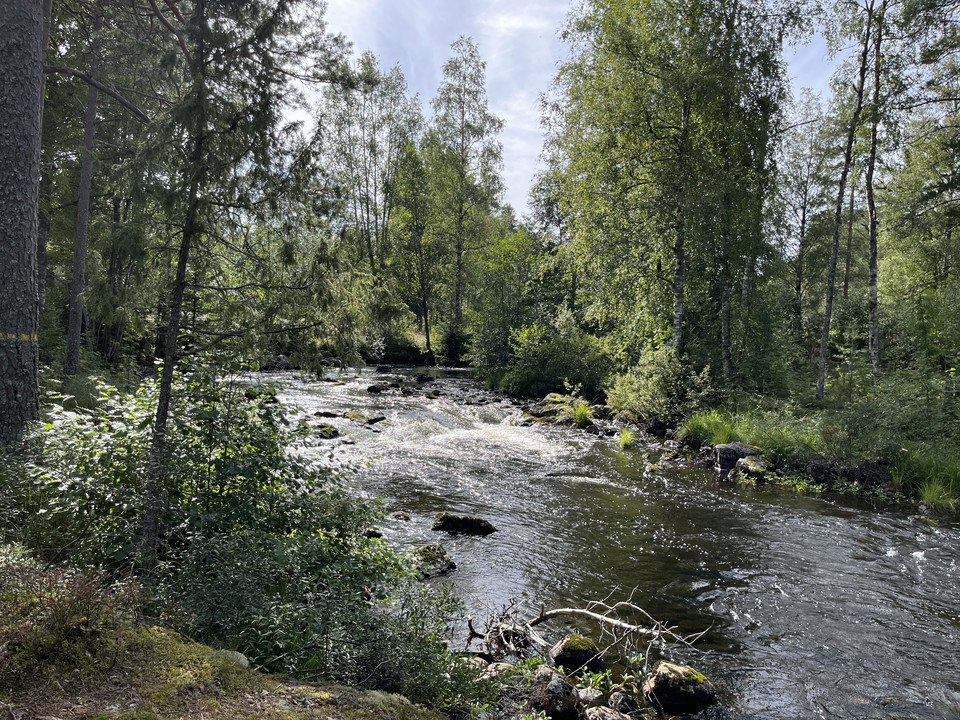 Skräddartorpsån