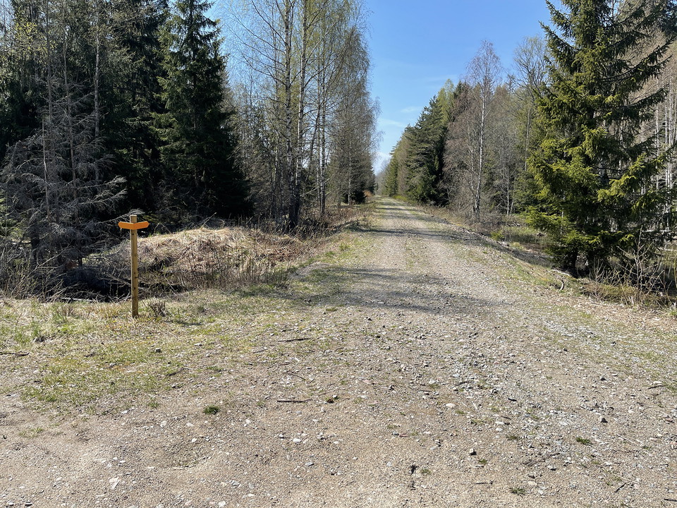 Grusväg genom blandskog. På en stolpe sitter orangea pilar.