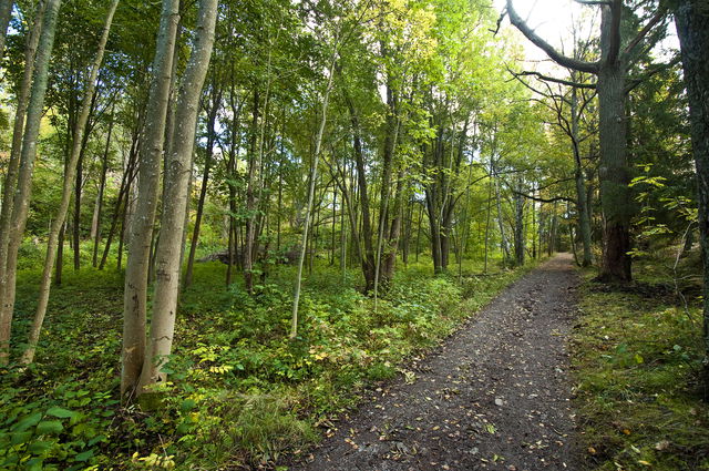 Blackebergsdälden