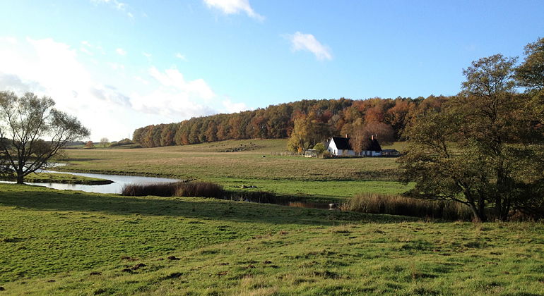 Betesmark vid Åhuset.
