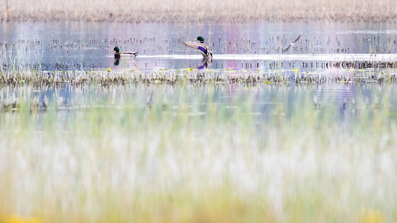 Gewässer Albosjön und weitere Seen