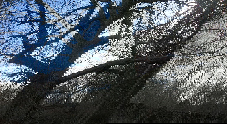 Fotograf: Charlotta Larsson