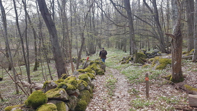 Vandra Eriksbergsleden med Guide- ÄlskaVår