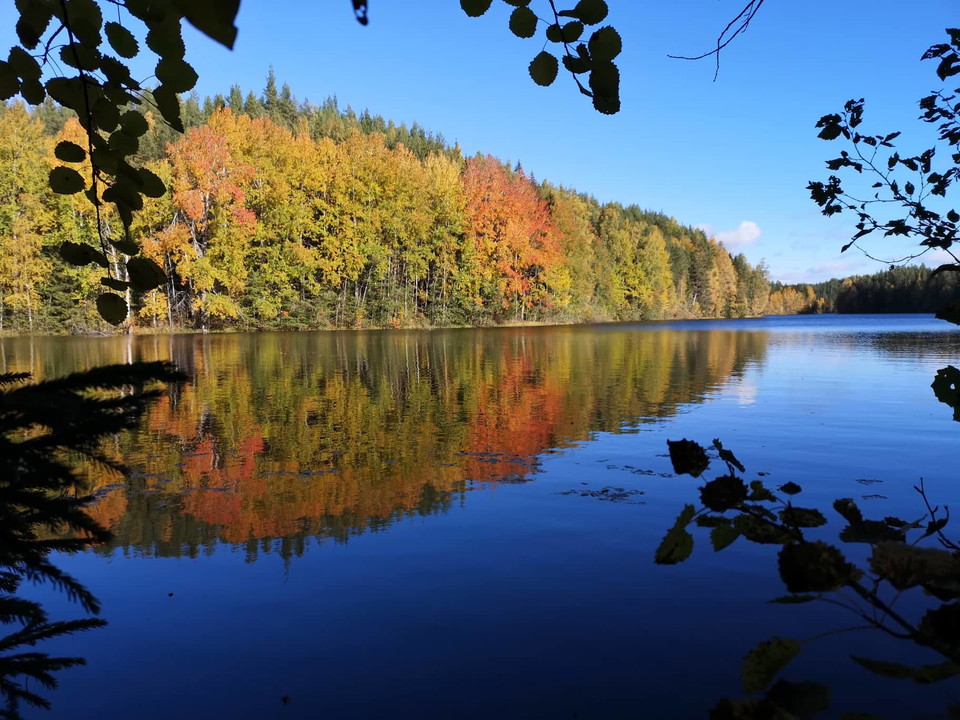 Stråsjö-Långtjärn magisk tjärn.