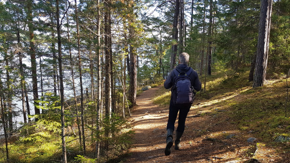 Strandnära stig på norra Bosön. Foto Lidingö stad