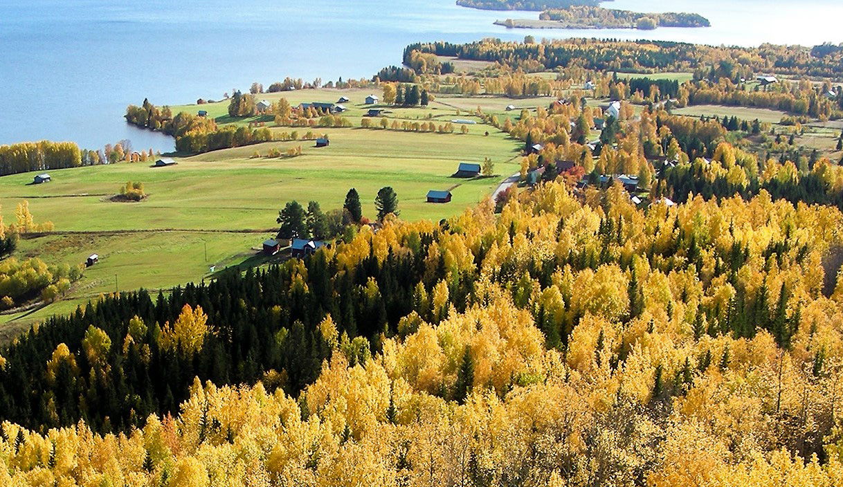 Utsikt från Kalkberget