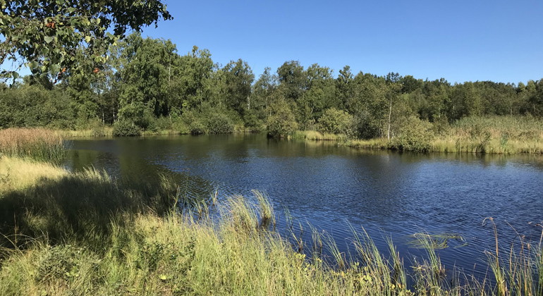 Den större av Bösketorps dammar.