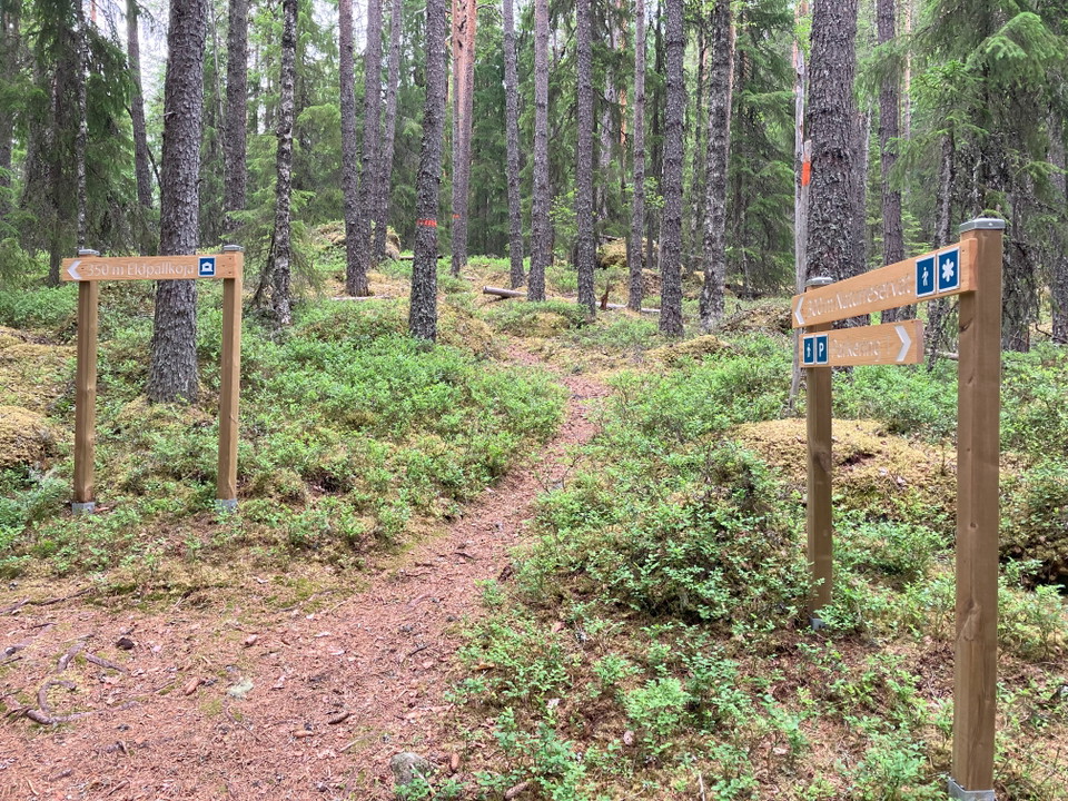 Vandringsleden i Fänstjärnsskogen
