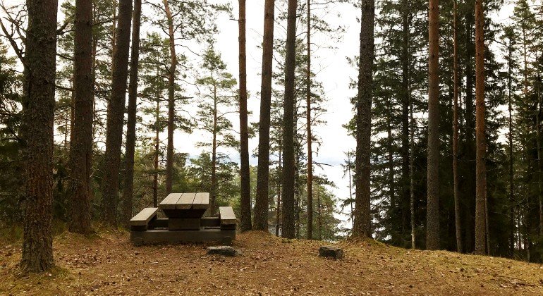 Rastplats vid det som kallas Vargkullen, i naturreservatets nordligaste del. Här har du en fin utsikt över Yngen.