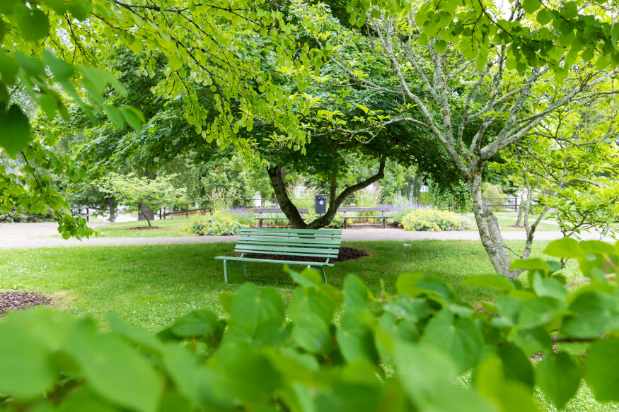 En parkbänk i den grönskande parken