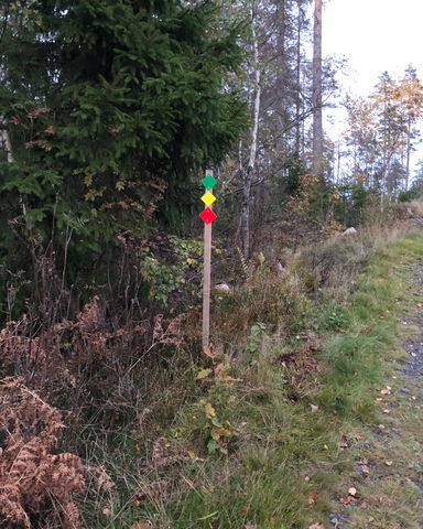 10km-löpning