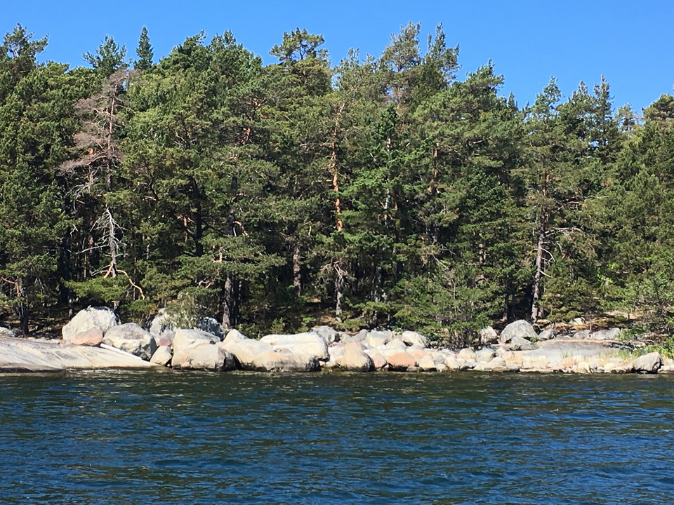 Storskärs naturreservat