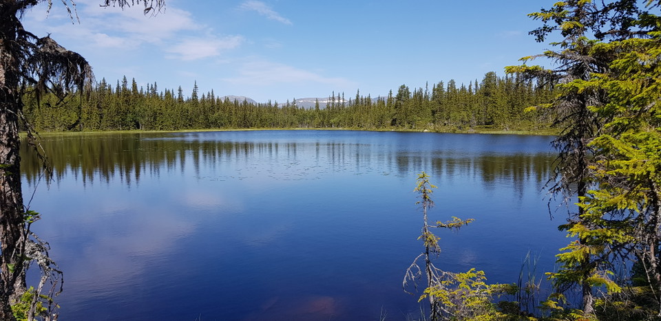 Vy från Rönnåsen.