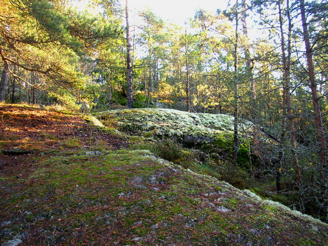 Fornborgen på Vikingaberget