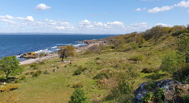 Nabben, Naturreservat
