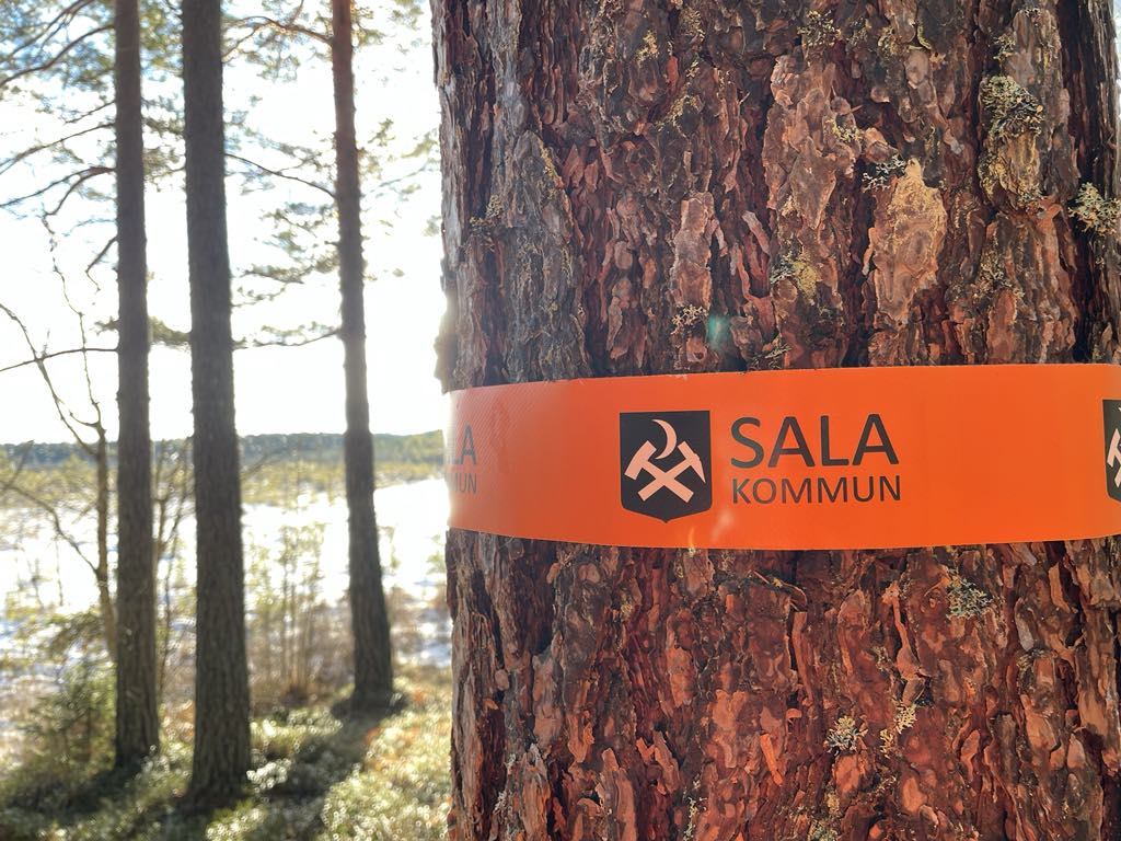 Sala - Helgonmossen