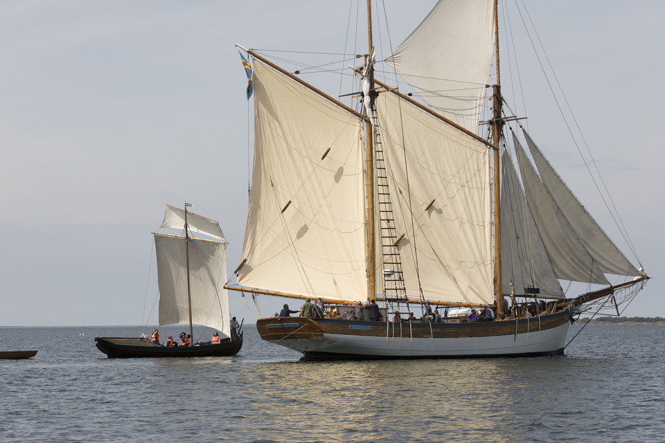 Segelbåtar med stora vita segel