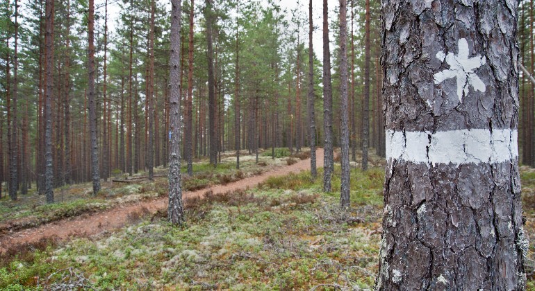 Randen och symbolen visar naturreservatsgränsen. 
