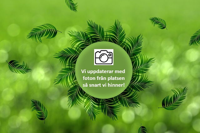 Gallsjömossens naturreservat - Stigar för rundvandring