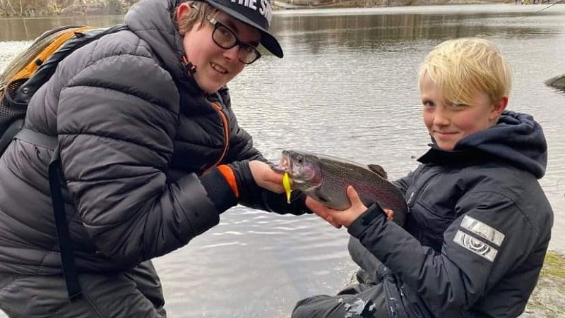 Gula kortet, Bergsjön