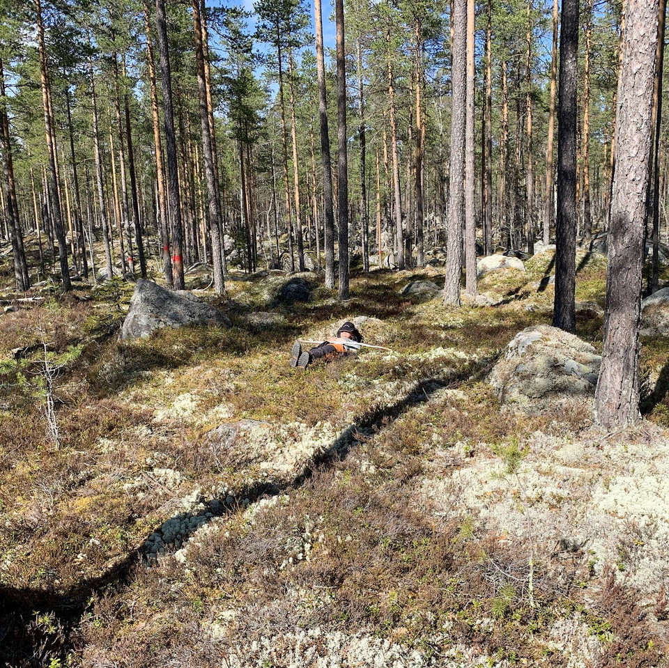 Vila en stund i mossan.