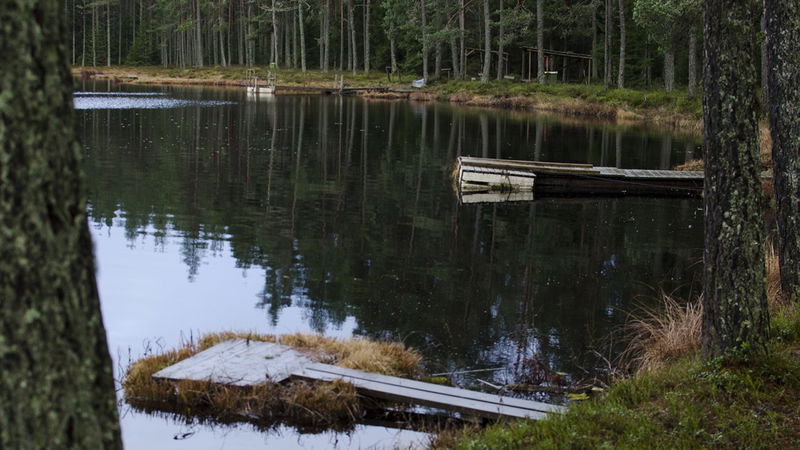 Landfiske, Avegöl