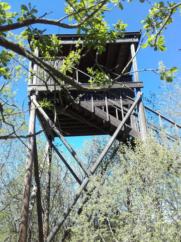 Fågeltorn, Petgärdeträsk
