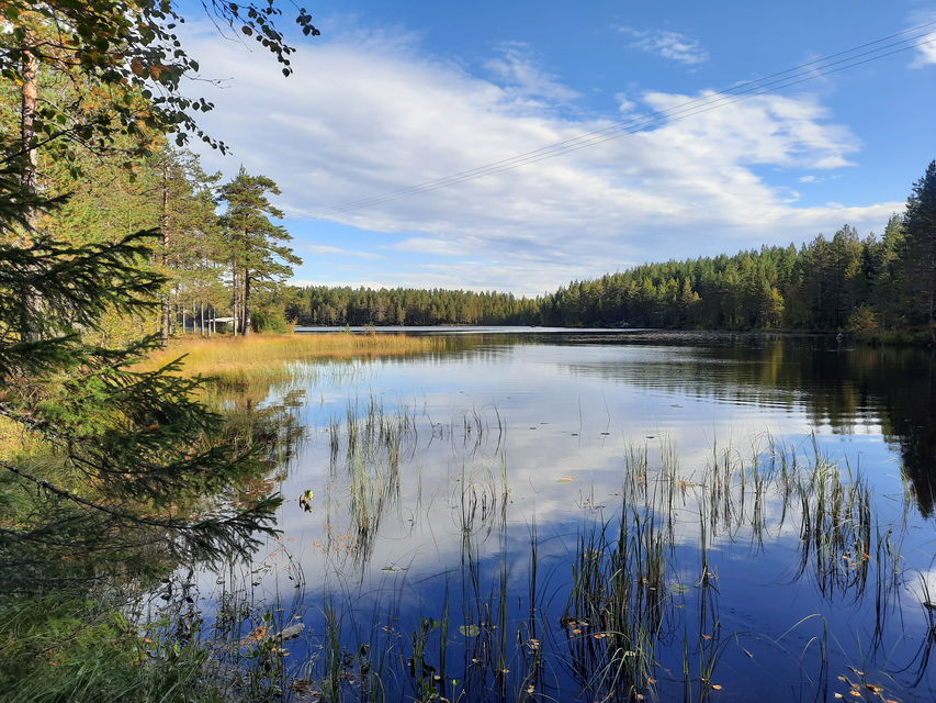 Trehörningen