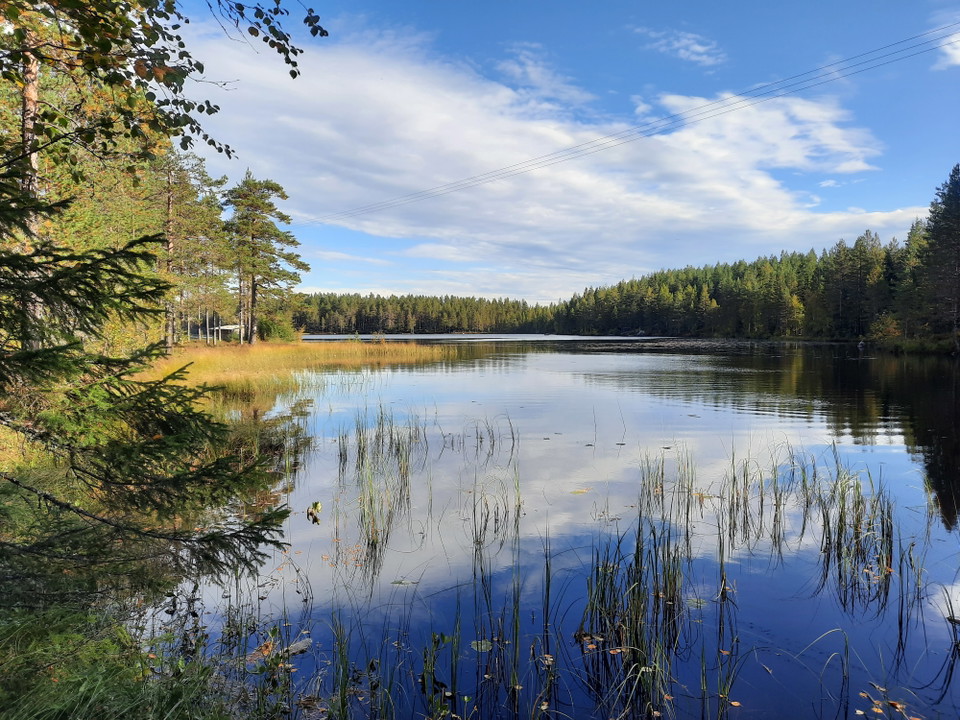 Trehörningen