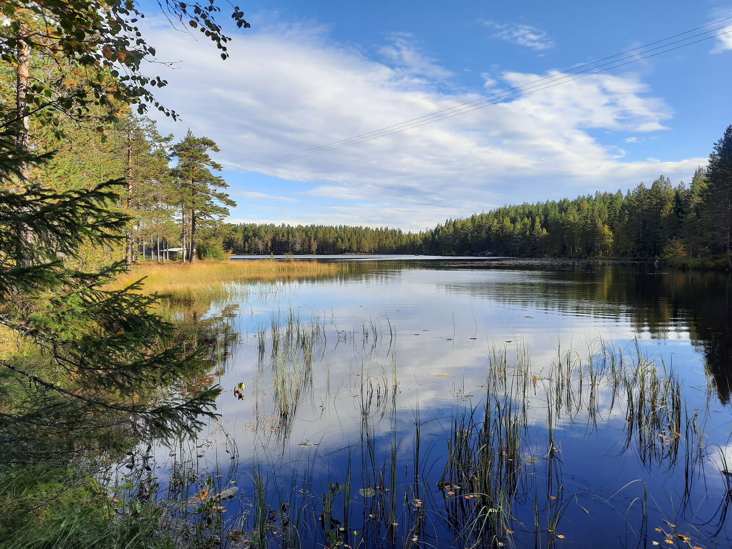 Trehörningen