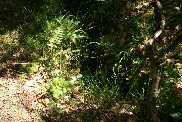 Spåningslanda elljusspår