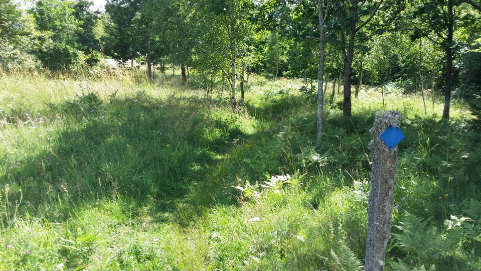 Blå markering