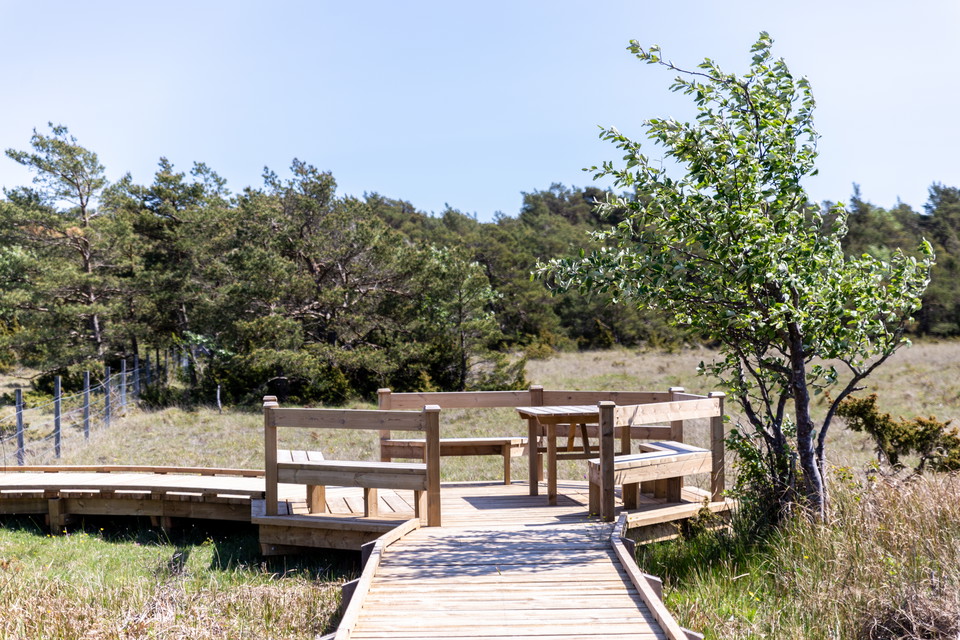 sittplatser och bord i trä på spång i våtmarksområde.