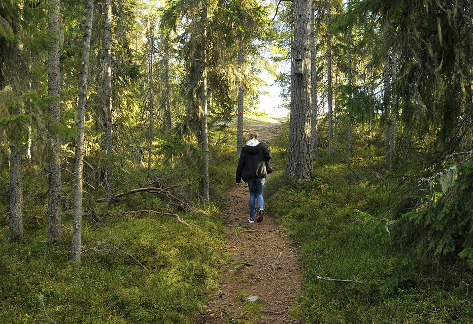 Påväg upp mot utsikten.