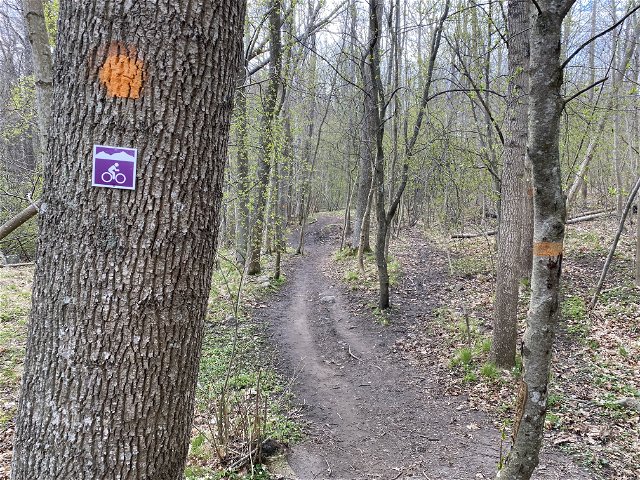 Bicycle path nr. 1