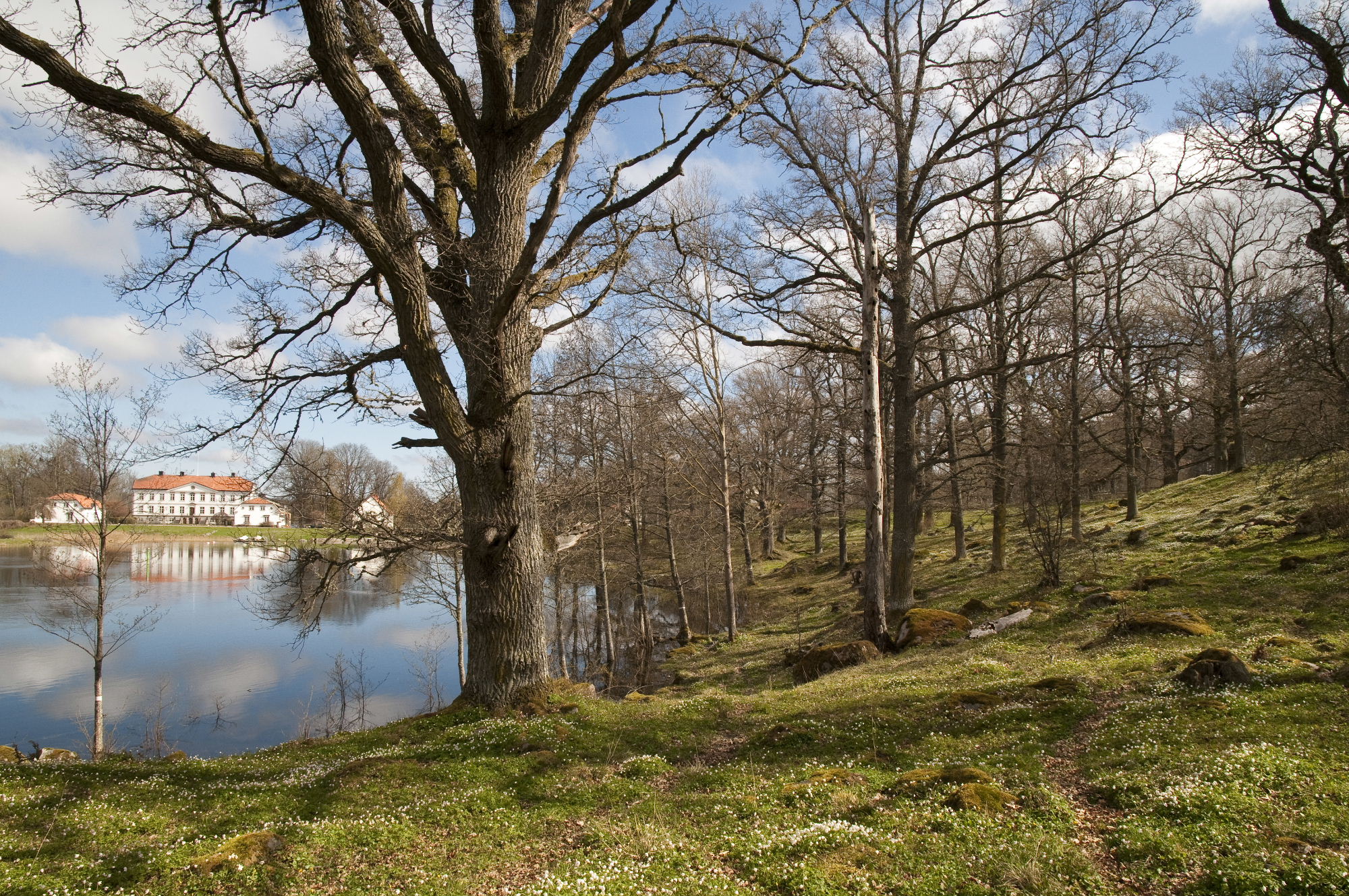 Brokinds naturreservat