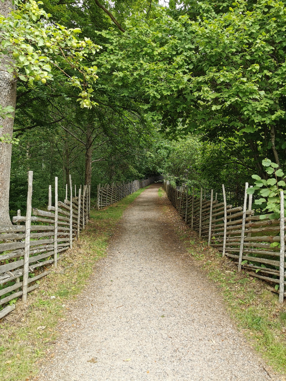 Bred cykelväg. 