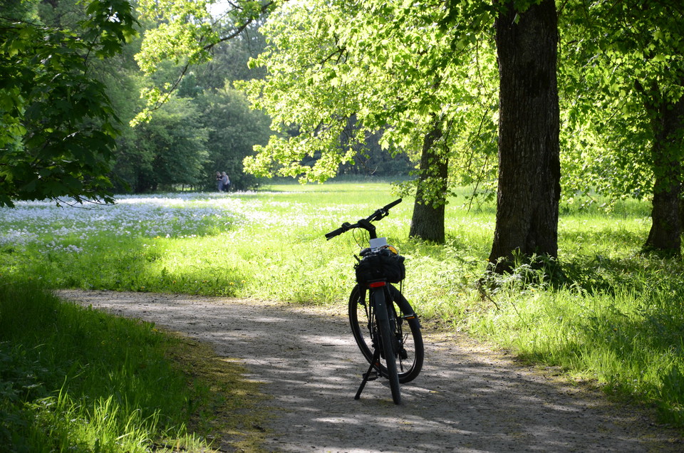 Igelbäcken.