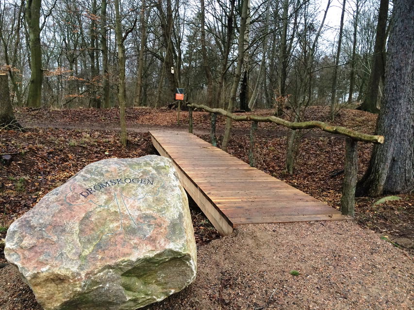 Välkommen till Drömskogen