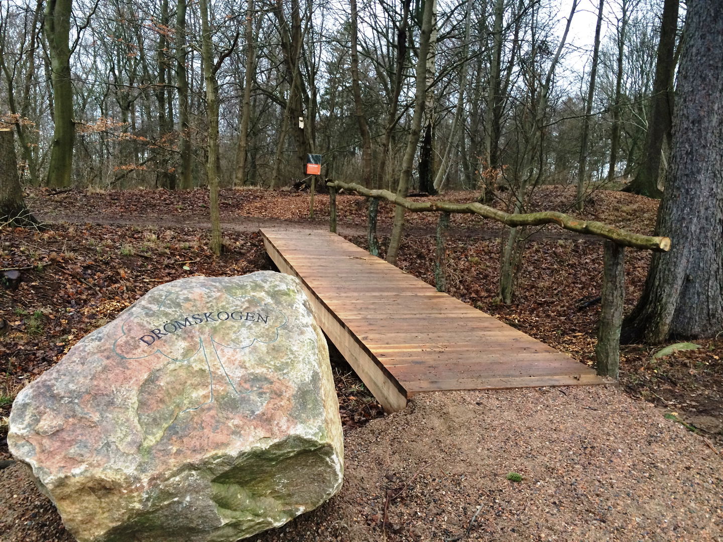 Välkommen till Drömskogen